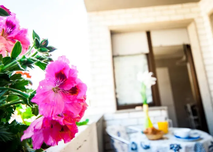 B&B Brisa del Mar Alghero